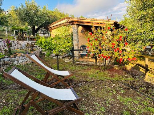 Le Casette di Nino - Marina di Camerota