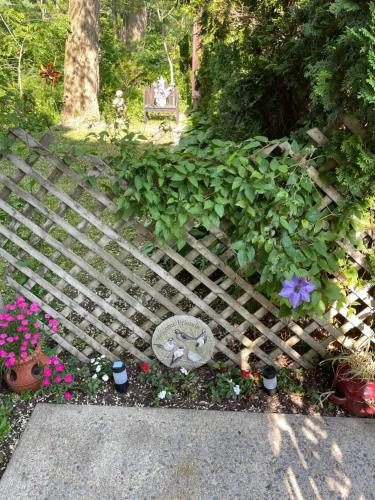 Hillcrest Bed and Breakfast - image 12