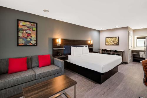 King Suite with Sofa Bed - Shower Only/Non-Smoking