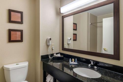 Comfort Inn & Suites Atlanta-Smyrna