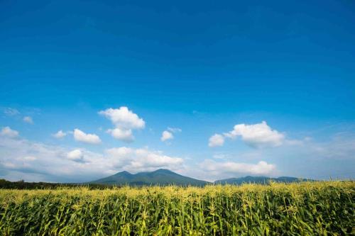 Furano BLUE STAR