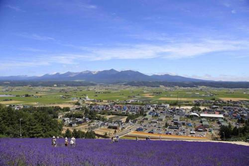 Furano BLUE STAR