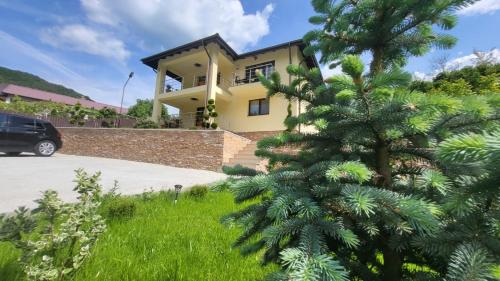 . Noblesse Calimanesti