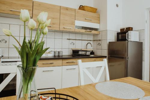 Apartament Kraju centrum z fotelem masującym