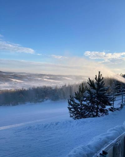 กีฬาและกิจกรรมสันทนาการ, Domki na Łące (Domki na Lace) in ยาสวอ