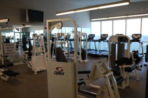 Amazing Studio - Walking Distance To Cocowalk in Miami, USA