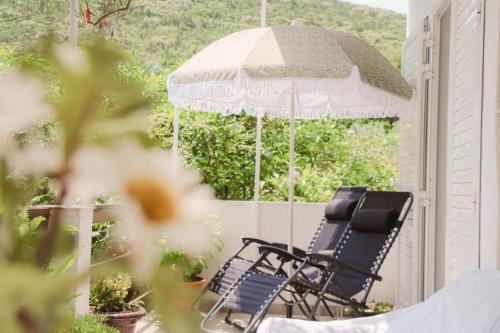  Faros oasis in Gdinj