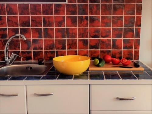 MickeyHouse, Agria (photo 9)