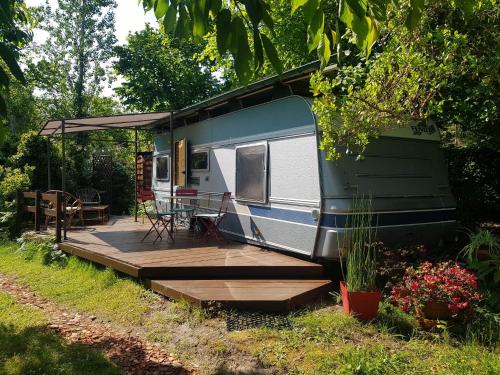 L'hermitage d'Apollon au sein d'un jardin forêt près de l'océan - Camping - Mimizan