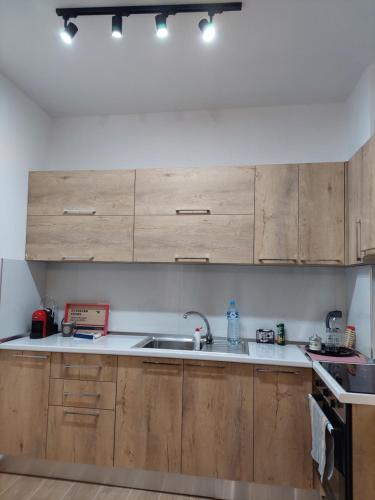 One-Bedroom Apartment image 8