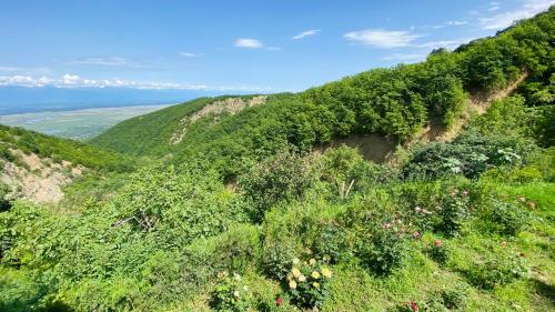 丽雅斯旅馆 丽雅斯旅馆