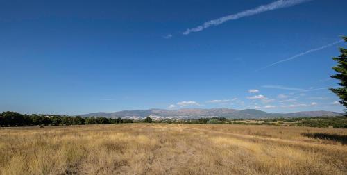 SAQA Organic Farm in เนลาส