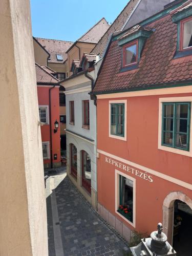 Surrounding environment, Katalinkert Panzio in Gyor