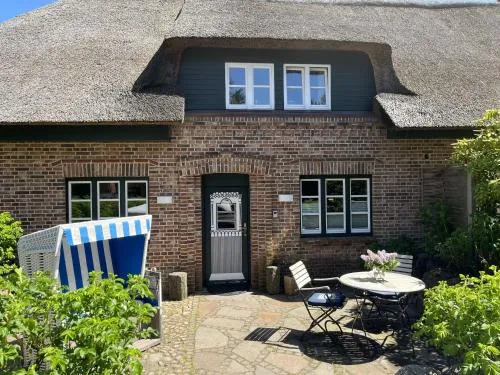 Kiebitz in Westerland, Deutschland