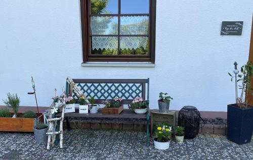 Ferienwohnung in der Vulkaneifel "Opp der Holl"