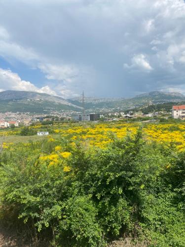 M&M Spalato residence M&M Spalato residence