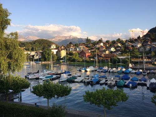 Ferienwohnung BuchtSpiez, Ferienwohnung in Spiez