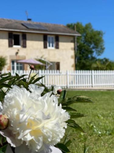 Maison dans le sud avec piscine chauffée - Midoon Guest