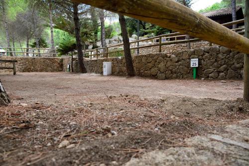 Camping TajoRodillo - image 7