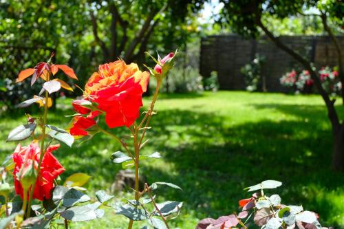B&B CasaNera – Riposto, CA