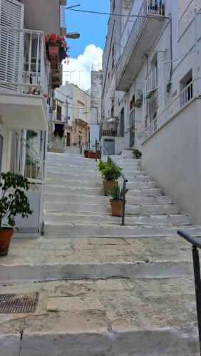 White House #cittabianca in Ostuni