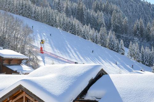 Chalet Grand Togadere - image 4