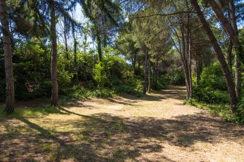 Casale Nel Bosco