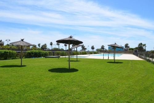 The Paradise Apartment