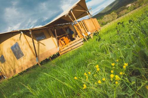 Tent