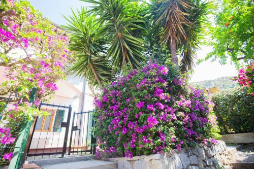 Casa Fetovaia - HelloElba gîte à louer Fetovaia