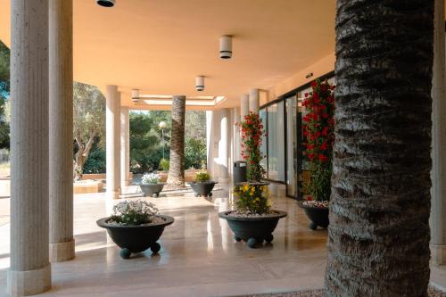 A szálláshely kívülről, Azuline Hotel - Apartamento Rosamar in Sant Josep de sa Talaia