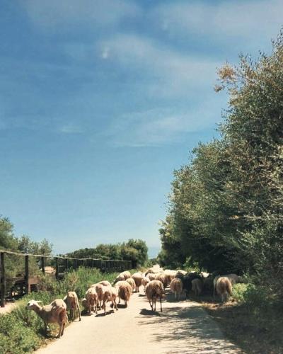 玛丽亚卡特里纳乡村别墅旅游酒店