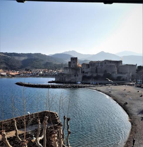 Appartement T6. Emplacement et vue mer d'exception - Location saisonnière - Collioure