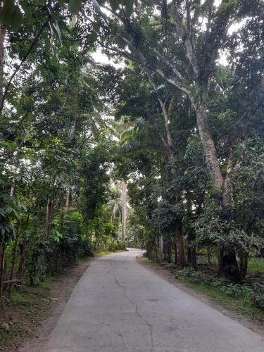 1 Bed House - Sleeps 2 - Pets - Parking - Wifi, Zamboanga (Foto 8)
