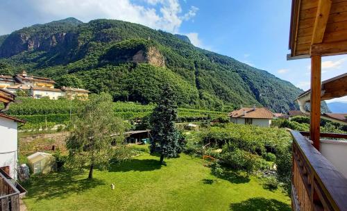 Hotel Garni Grüner Baum (Albero Verde)