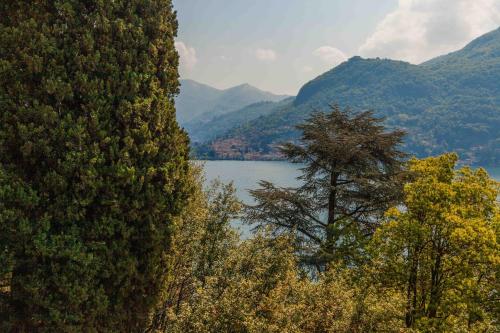 Vista/Panorama, [cottage como lake] relax by the lake in Moltrasio
