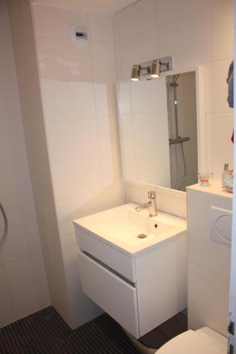 Bordeaux centre, Appartement privatif et 5 chambres privées, piscine, parking, Bordeaux (photo 8)