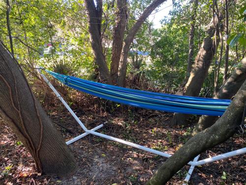 Your Manatee and Scalloping Adventure Retreat