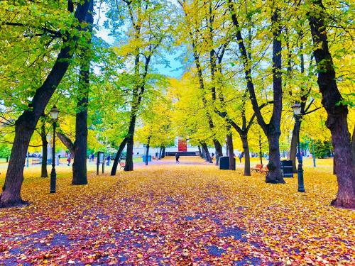 Scandinavian Home premium location in the historical heart of Helsinki 21, Helsinki (foto 8)