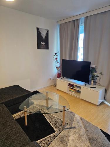 Comfortable 1 bedroom apartment in Helsinki - Apartment