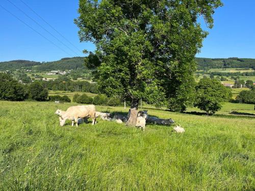 Maison vue superbe, 1-6 pers, Teilhet, Auvergne