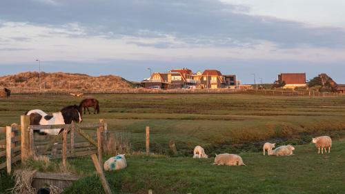 Strandhotel Camperduin in Schoorl