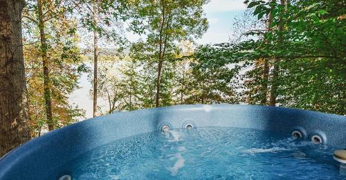 Soaring Eagle Cabin - image 6