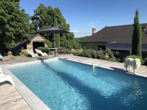 Gîte dans maison Perigourdine avec piscine entre sarlat et brive gîte à louer Sagournat