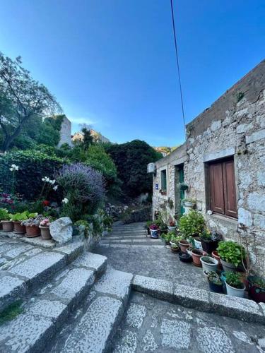 Studio Apartman Ana in 拉斯托禾