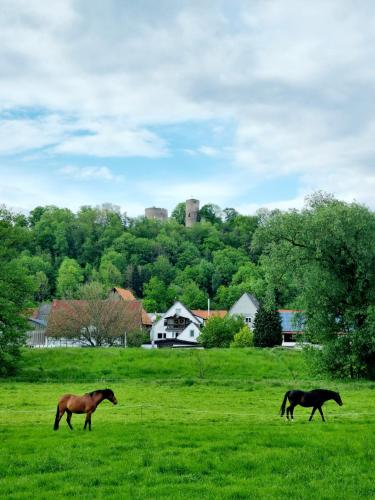 Ferienhaus Diemelaue