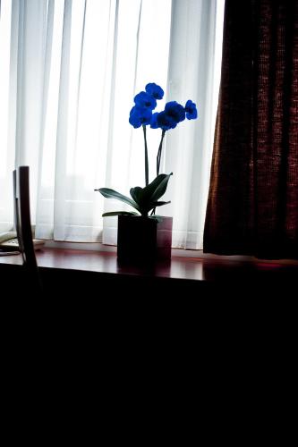 Canada Hotel Budapest - image 9