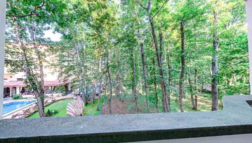 Elmar Hotel - image 14