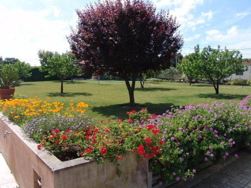 Quinta de Malmedra - image 11