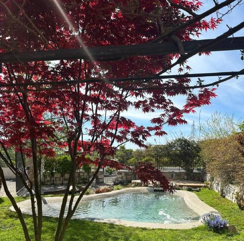  DOMUS PARVA - Villa con bio-piscina, spa privata e appartamenti panoramici in Bacoli